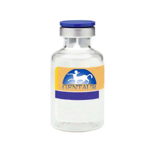 Recombinant Human Galectin 8, variant 1, His Tag (317 a.a.)