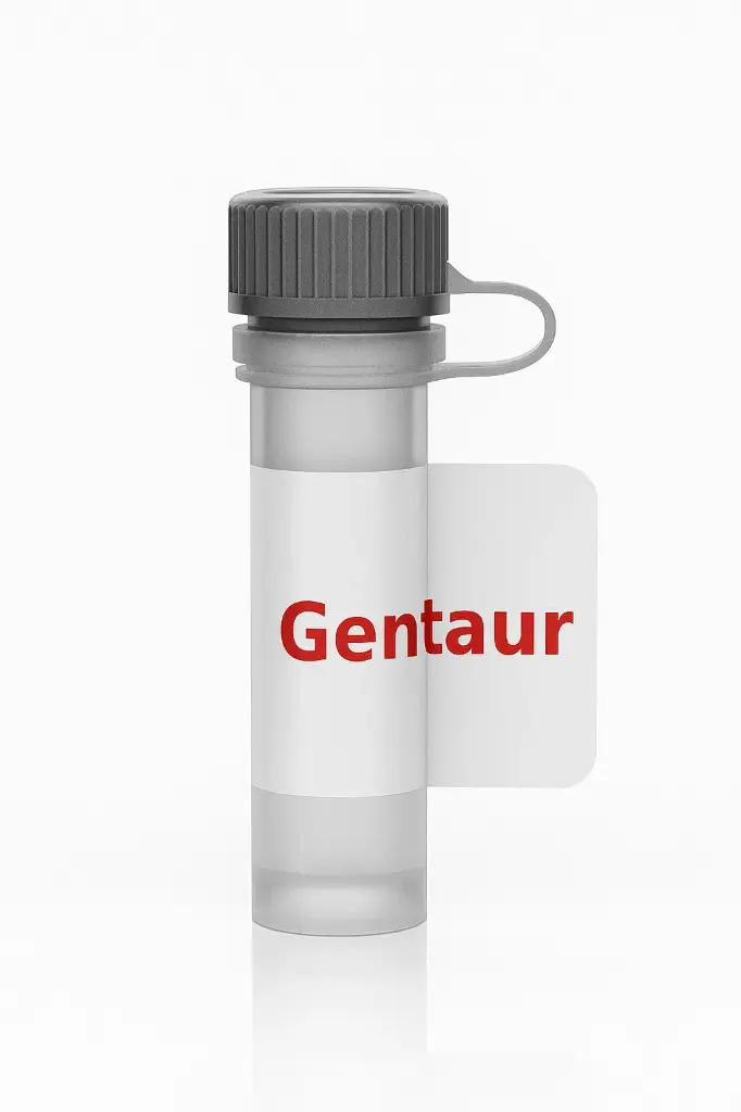 Rat Anti-Mouse CD3 Antibody(Clone 17A2), FITC