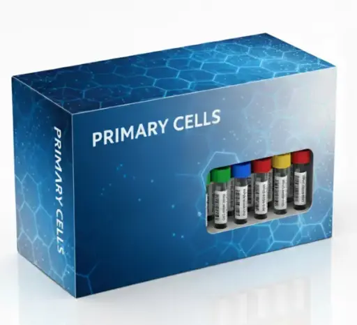 [TCC-25203] Cryopreserved, Subcutaneous Preadipocytes (2 million cells/